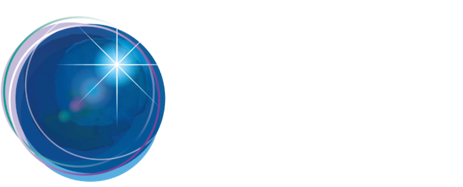 Michael Newton Institute